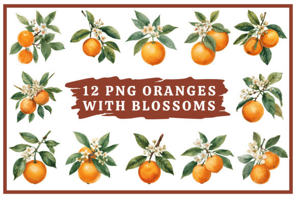 Download Oranges Watercolor Clip Art Bundle #31 - Watercolor Collection