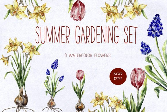 Download Watercolor Summer Flowers Set Clipart - Watercolor Collection
