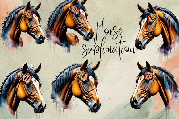 Download Horse Sublimation Protrait Watercolor - Watercolor Collection