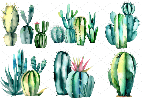 Download 6 Watercolor Cactus PNG Clipart Bundle - Watercolor Collection