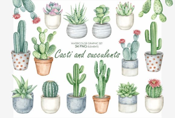 Download Watercolor Cactus and Succulents Clipart - Watercolor Collection