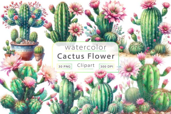 Download Watercolor Cactus Sublimation Clipart - Watercolor Collection