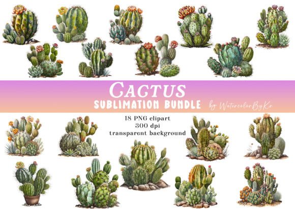 Download Watercolor Cactus Bundle PNG Clipart - Watercolor Collection