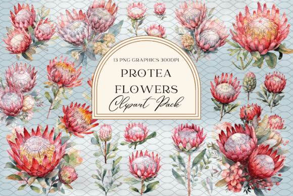 Download Watercolor Protea Flower Sublimation - Watercolor Collection